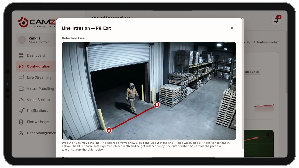 Configuration panel showing a directional line drawn across a camera view with sensitivity and schedule controls